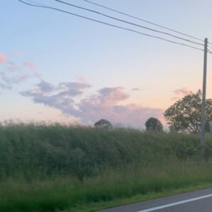 Meet your Posher, Kylie